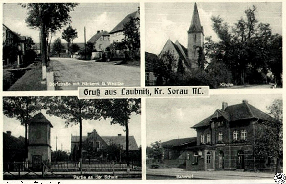 Historia Świbnej lubanice 5164401